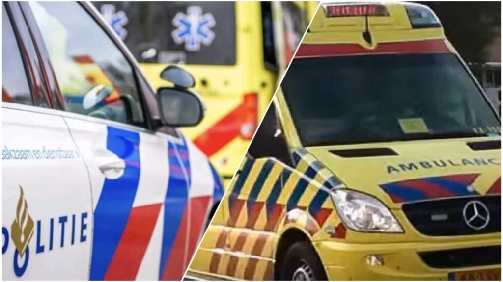 WhatsApp Image 2025 07 12 at 10.32.32 1536x863