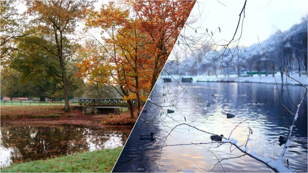 WhatsApp Image 2025 12 19 at 11.13.26